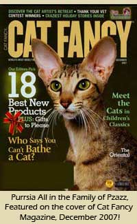 Purrsia Cattery Oriental Short Hair featured on the December 2007 cover of Cat Fancy magazine!